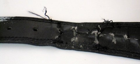 bao quan that lung da