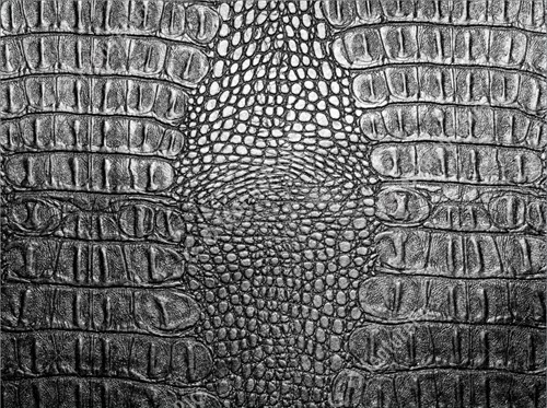 cac-loai-da-thuoc-cao-cap-da-ca-sau 1