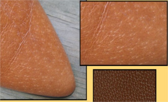 cách nhận biết dây lưng da thật