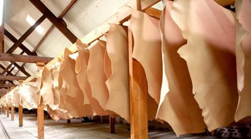 Bán da bò thuộc hcm