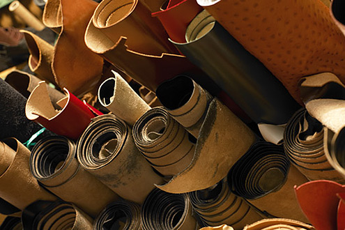 phan biet cac loai da