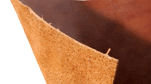 cách phân biệt các loại da