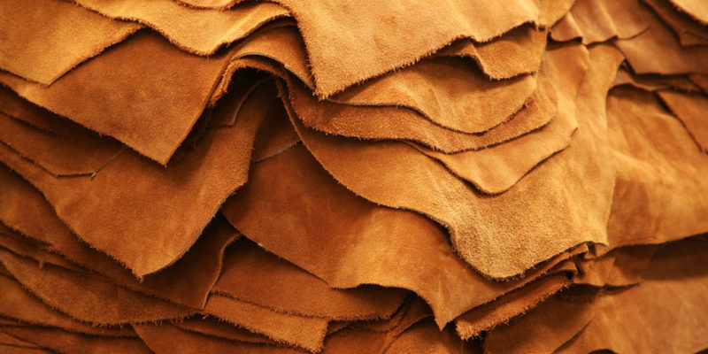 cách phân biệt các loại da