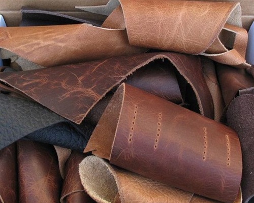 phan biet cac loai da