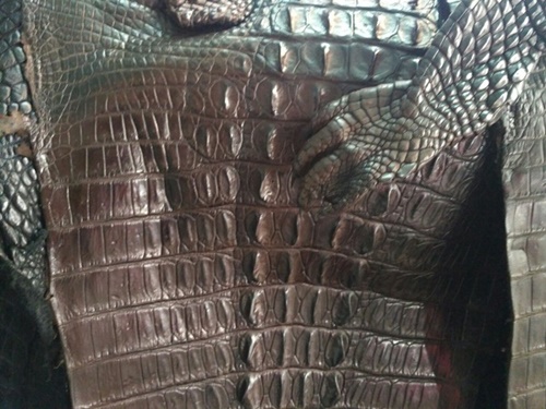 phân biệt da cá sấu thật và giả