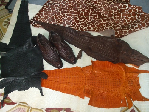 phân biệt da cá sấu thật và giả