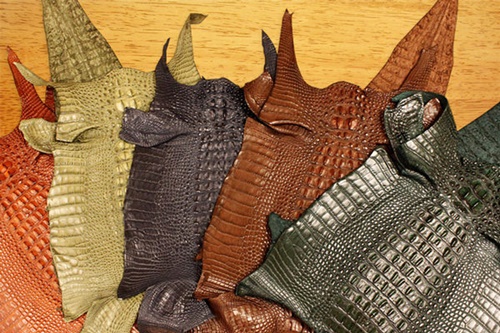 phân biệt da cá sấu thật và giả