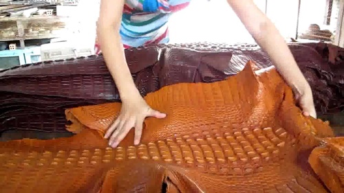 phan biet da ca sau that gia