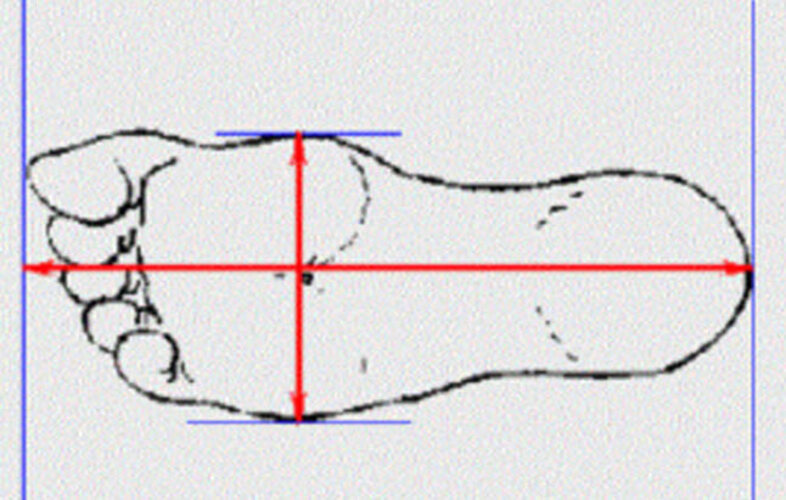 bang do size giay nam