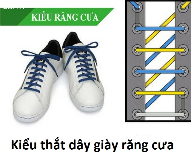kieu giay rang cua