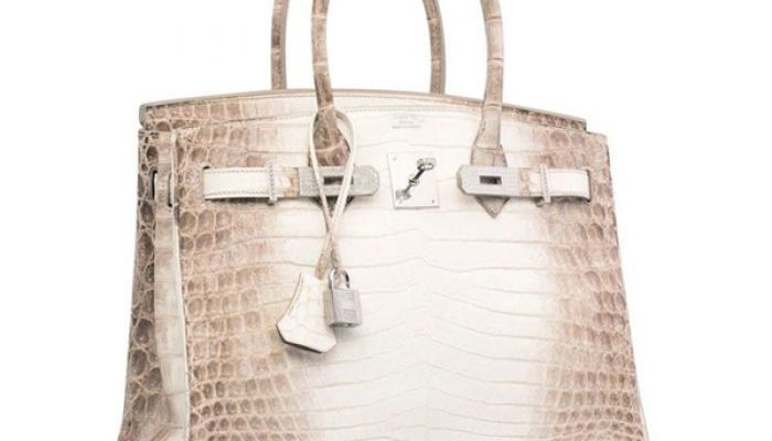 túi xách da cá sấu hàng hiệu