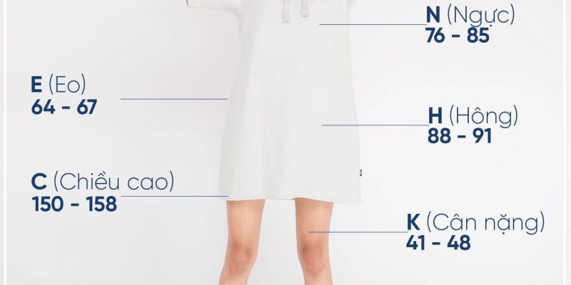 quần free size là gì