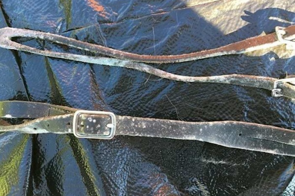 cach xu ly that lung da bi moc