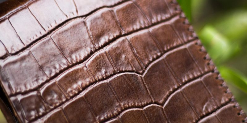 vi da bo dap van ca sau