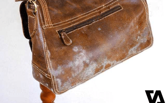 Da bị mốc trắng do đâu? Cách khắc phục nhanh chóng và hiệu quả nhất