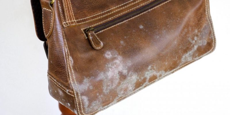 cach xu ly vi da bo moc