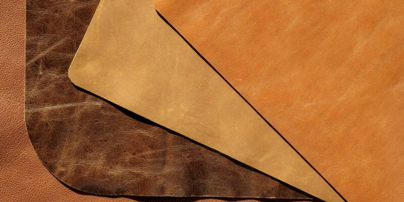 Tất cả những gì bạn cần biết về việc xác định da thuộc