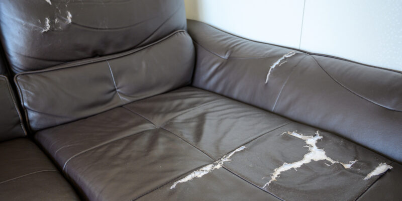 Các vấn đề về đồ nội thất bằng da thông thường cần chú ý