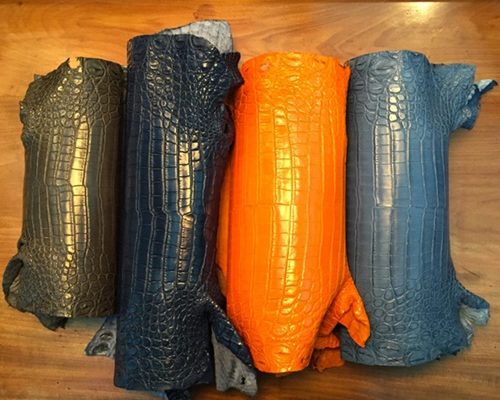 bán da cá sấu thuộc