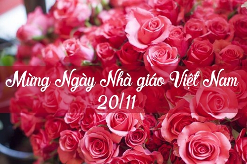 qua tang 20 11