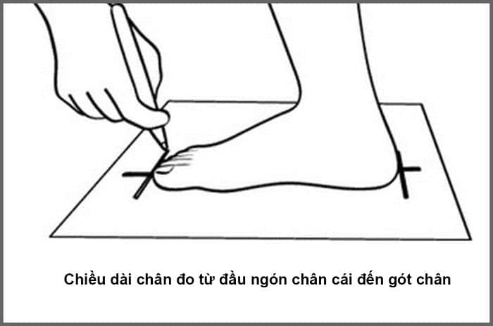 size giay han quoc